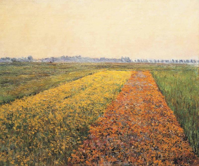 Gustave Caillebotte The Yellow Fields at Gennevilliers